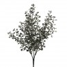 Větvička eukalypthus