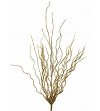 Větvička mořská tráva
