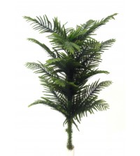 Nolfolk pine 90 cm