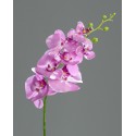 Orchidej Phalaenopsis lavender 83 cm