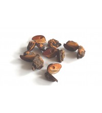 Hakea pods 10 ks