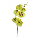 Orchidej Phalaenopsis zelená 76 cm