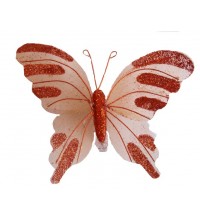 Motýl, 12 ks