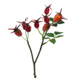 Šípek 24 cm