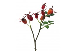 Šípek 24 cm