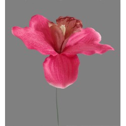 Orchidej