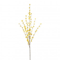 Zlatý déšť  Forsythia 118 cm