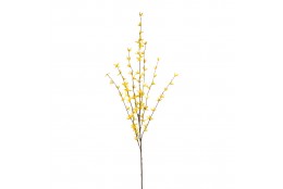 Zlatý déšť  Forsythia 118 cm