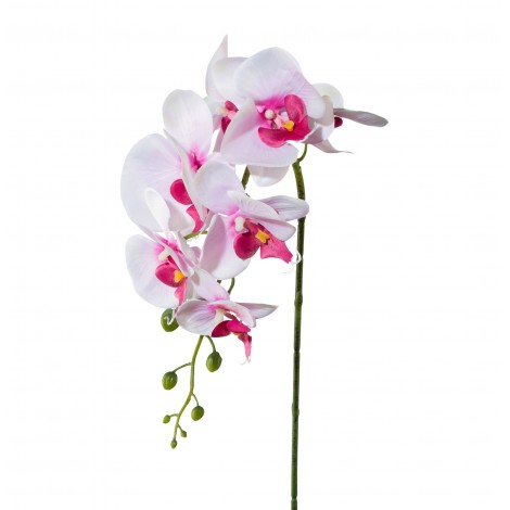 Orchidej