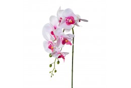 Orchidej bílo-růžová 86 cm