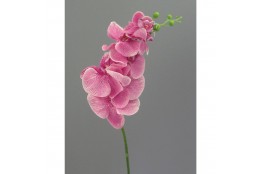 Orchidej růžová 86 cm