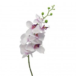 Orchidej bílo-fialová 86 cm