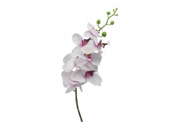Orchidej bílo-fialová 86 cm
