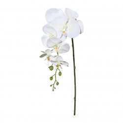 Orchidej bílo-krémová 86 cm
