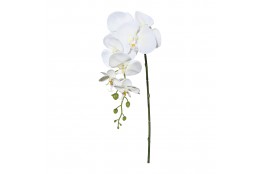 Orchidej bílo-krémová 86 cm
