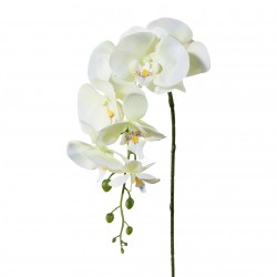 Orchidej bílo-zelená 86 cm