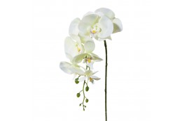 Orchidej bílo-zelená 86 cm