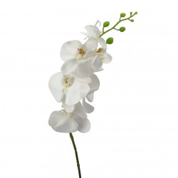 Orchidej bílo-zelená 86 cm