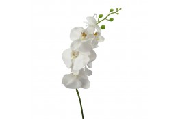 Orchidej bílo-zelená 86 cm