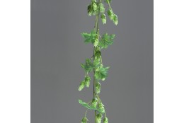 Girlanda chmelová zelená 180 cm