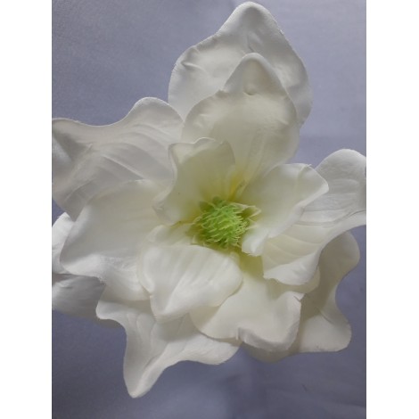 Magnolie vazbovka