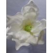 Magnolie vazbovka
