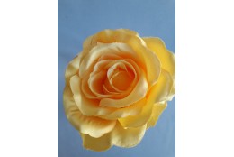 Růže sv. žluto-oranžová velká vazbová 8*9 cm
