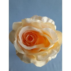 Růže sv. apricot velká vazbová 8*9 cm