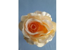 Růže sv. apricot velká vazbová 8*9 cm