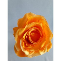 Růže tm. tea velká vazbová 8*9 cm