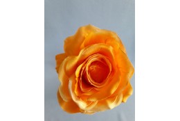 Růže tm. tea velká vazbová 8*9 cm