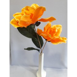Magnolie oranžová 66 cm