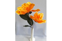 Magnolie oranžová 66 cm