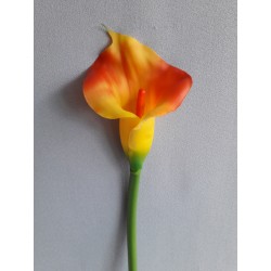 Kala, 5 barev 70 cm