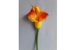 Kala, 5 barev 70 cm
