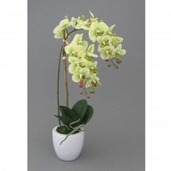 Orchidej v květináči, 43 cm