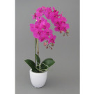 Orchidej v květináči, 43 cm
