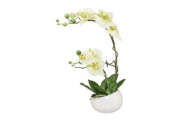 Orchidej v květináči, 42 cm