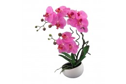 Orchidej v květináči, 42 cm