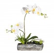 Orchidej v květináči s přízdobou
