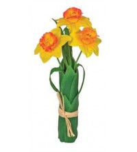 Narcis svazek v listech 30 cm