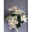 Kytice orchidej, kosmos