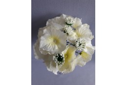 Hortenzie sv. zelená vazbová Ø 17 cm
