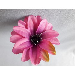 Jiřina Dahlia beauty vazbová Ø 12 cm