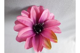 Jiřina Dahlia beauty vazbová Ø 12 cm