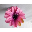 Dahlia