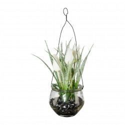 Tulipán závěs ve skle 24 cm