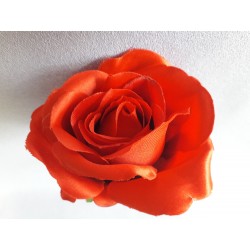 Růže červená vazbová 7*8 cm
