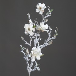 Magnolie krémová ojíněná 76 cm