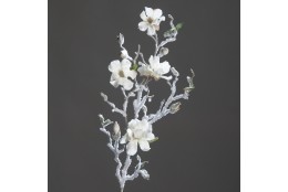 Magnolie krémová ojíněná 76 cm